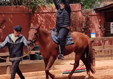 Estrutura Física e Ambientes de Aprendizagem