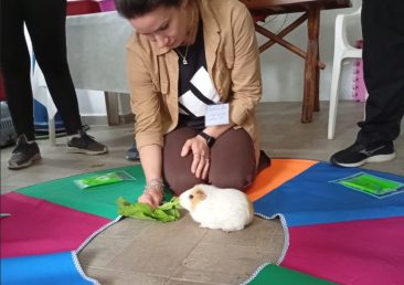 Estrutura Física e Ambientes de Aprendizagem