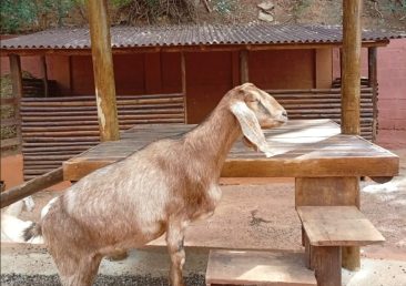 Estrutura Física e Ambientes de Aprendizagem